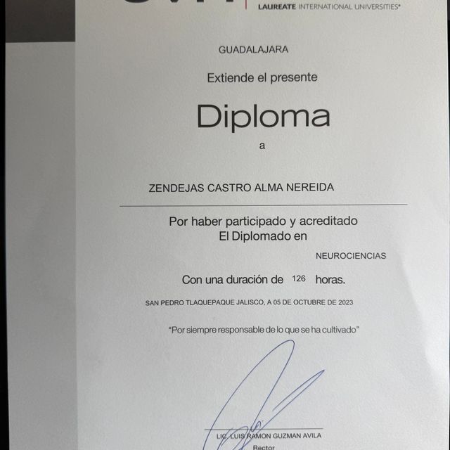 Ampliar imagen: certificate 3