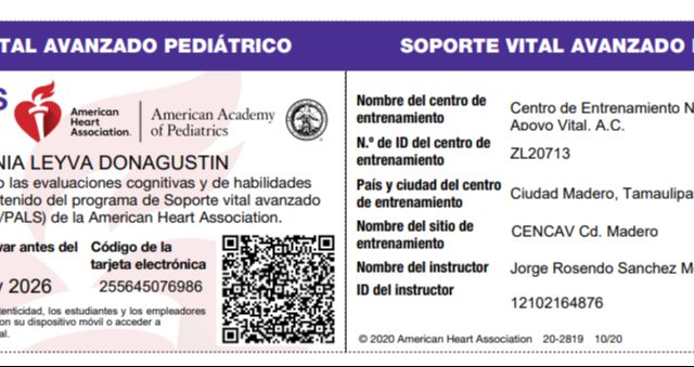 Ampliar imagen: certificate 3