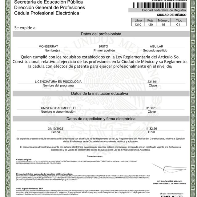 Ampliar imagen: certificate 10