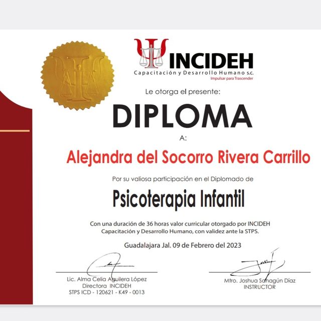 Ampliar imagen: certificate 4