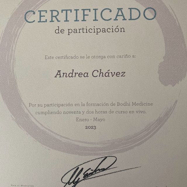 Ampliar imagen: certificate 4