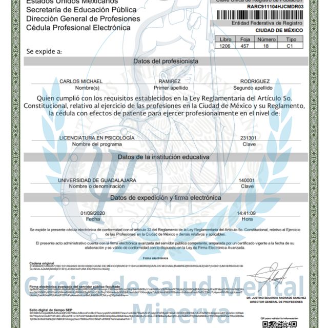 Ampliar imagen: certificate 2