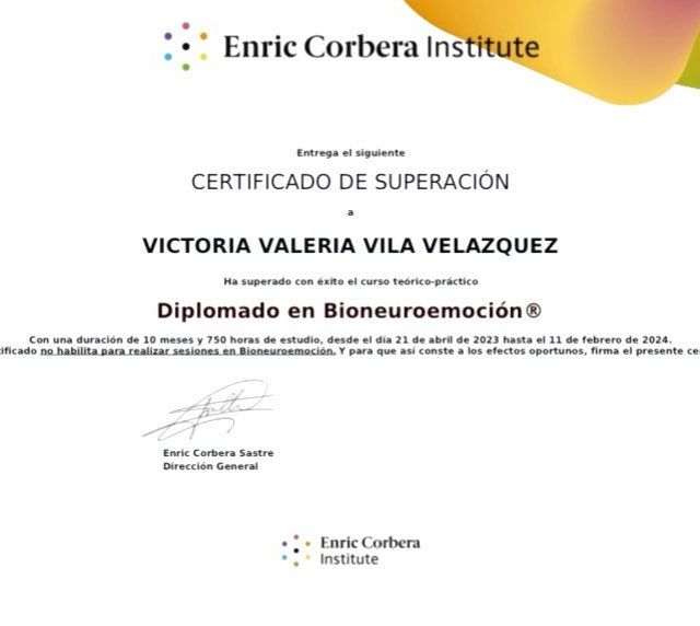 Ampliar imagen: certificate 3