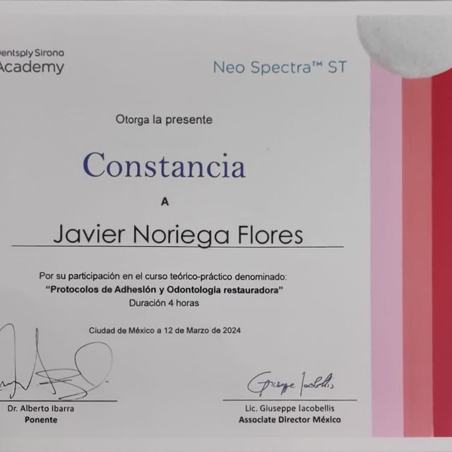 Ampliar imagen: certificate 11