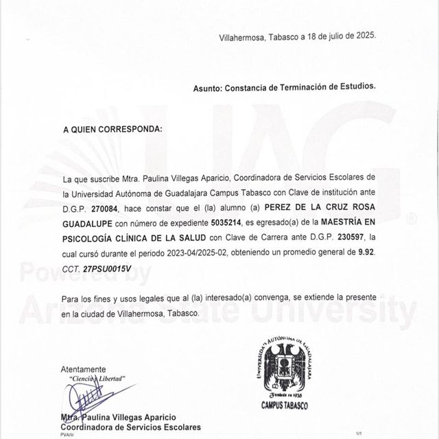 Ampliar imagen: certificate 1