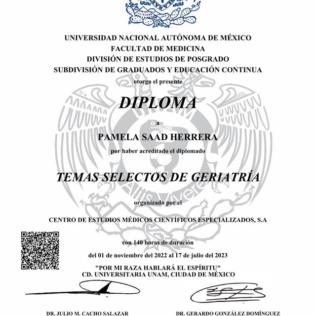 Ampliar imagen: certificate 2