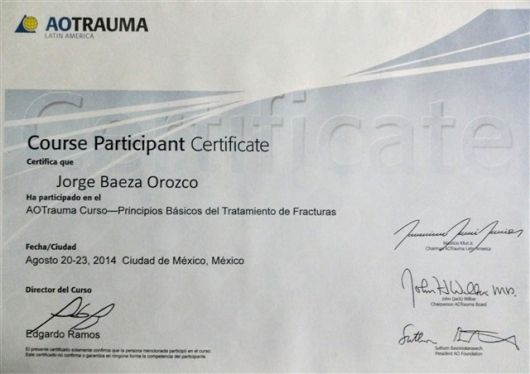Ampliar imagen: certificate 6