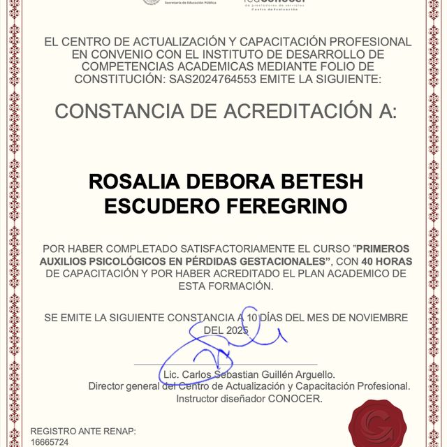 Ampliar imagen: certificate 6