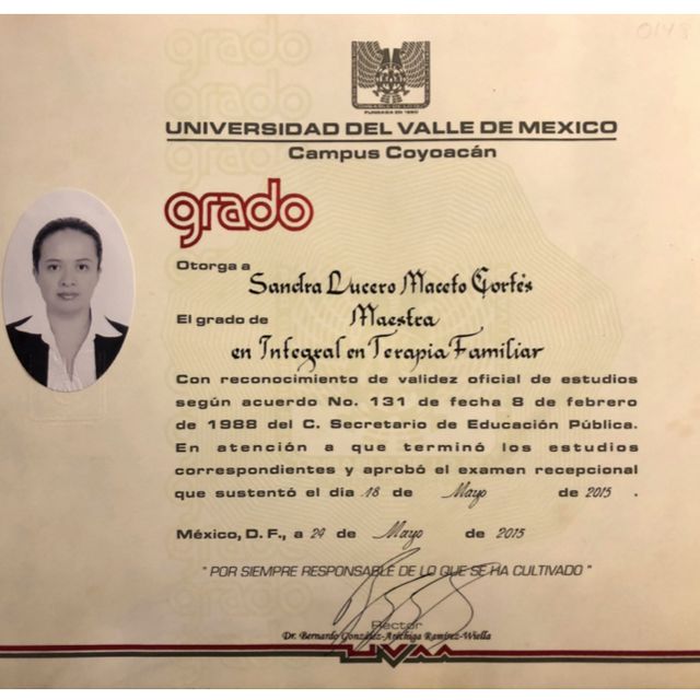 Ampliar imagen: certificate 1