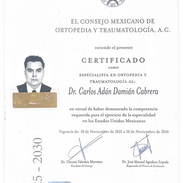 Ampliar imagen: certificate 5