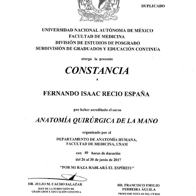 Ampliar imagen: certificate 6