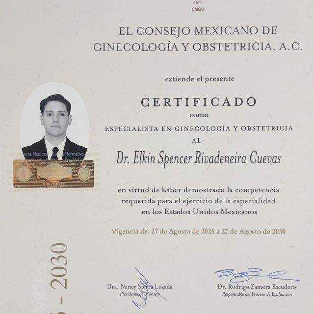 Ampliar imagen: certificate 2