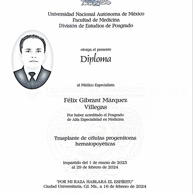 Ampliar imagen: certificate 5