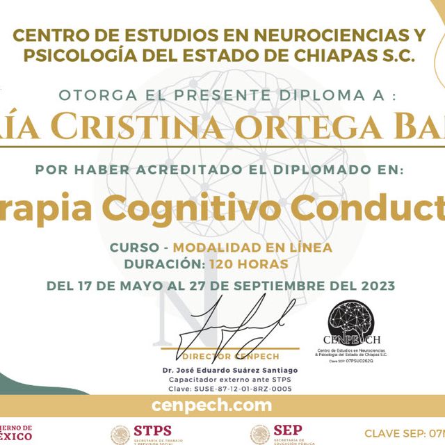 Ampliar imagen: certificate 1