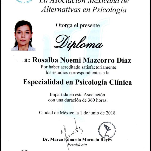 Ampliar imagen: certificate 1