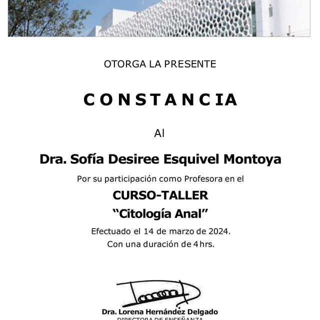 Ampliar imagen: certificate 6