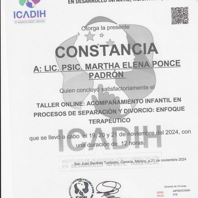 Ampliar imagen: certificate 9