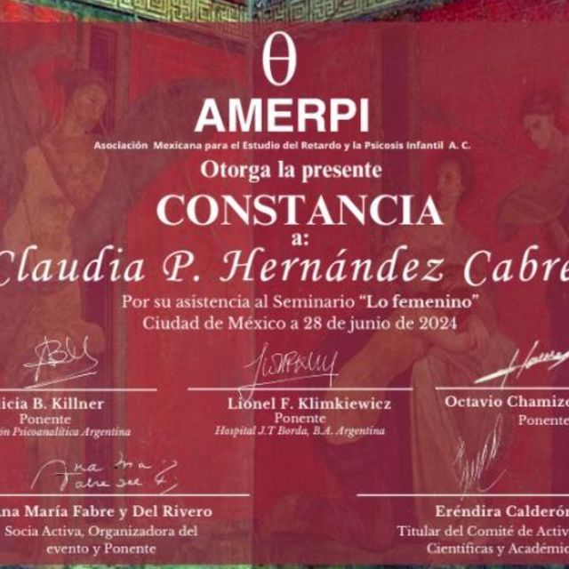 Ampliar imagen: certificate 3