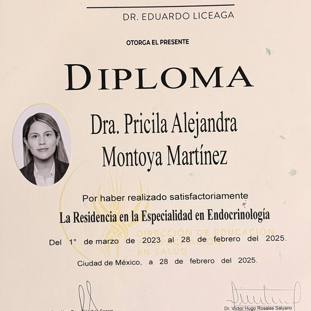 Ampliar imagen: certificate 5