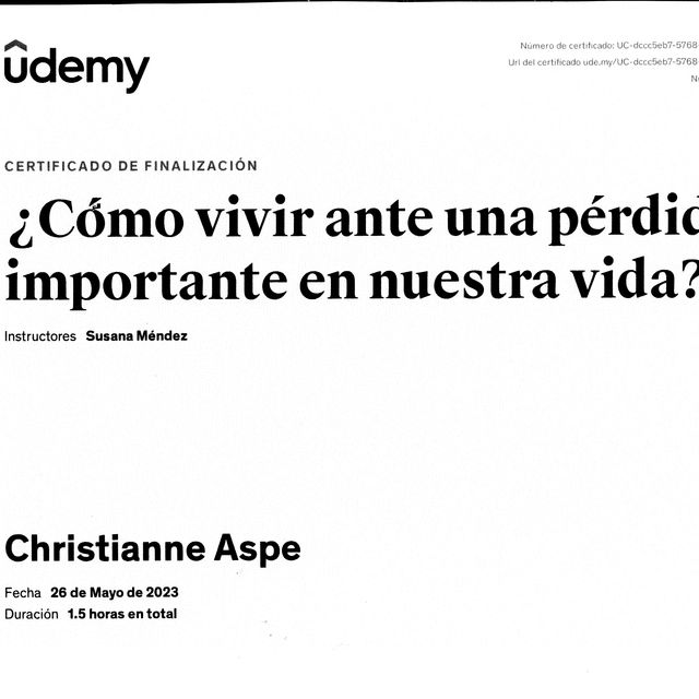 Ampliar imagen: certificate 29