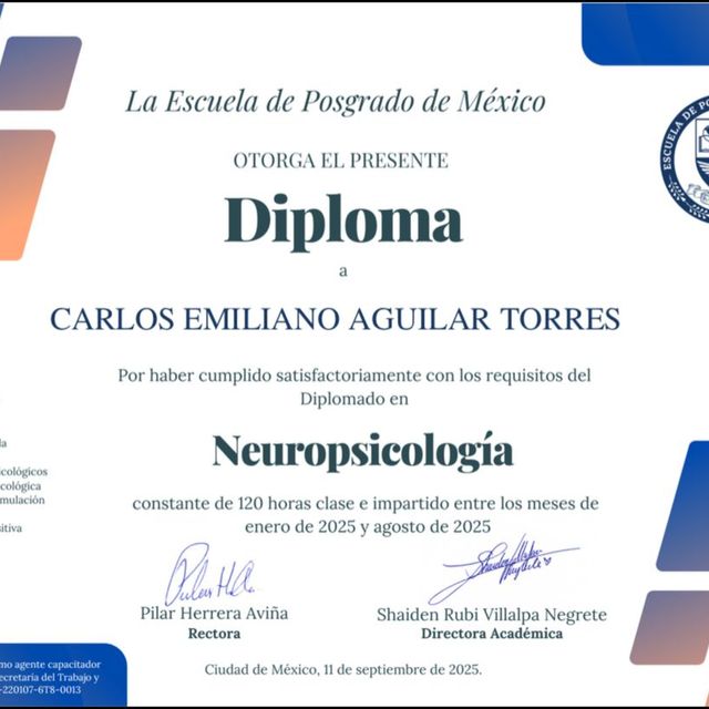 Ampliar imagen: certificate 4