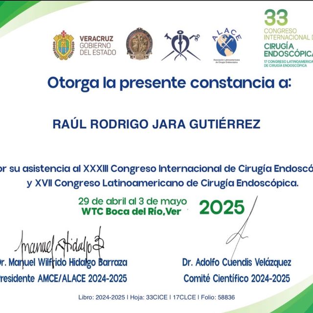 Ampliar imagen: certificate 3