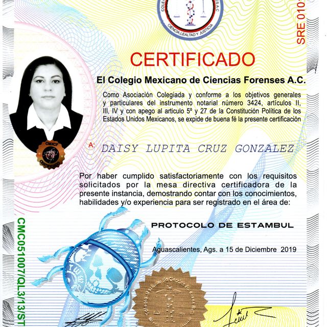 Ampliar imagen: certificate 18