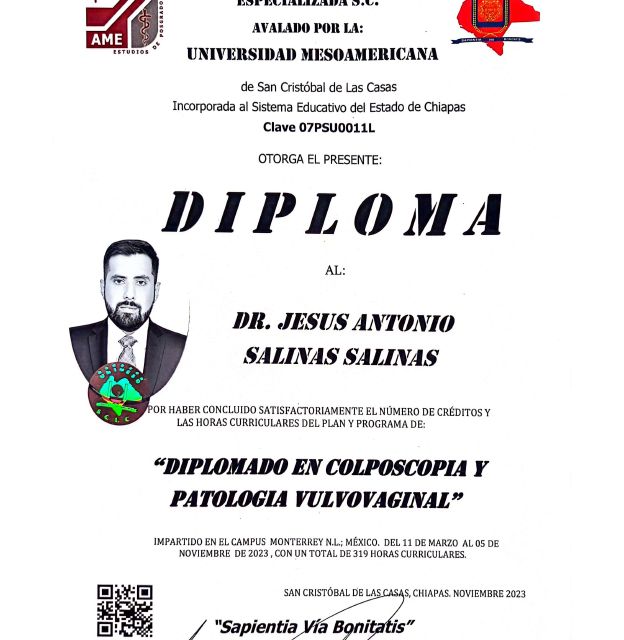 Ampliar imagen: certificate 5