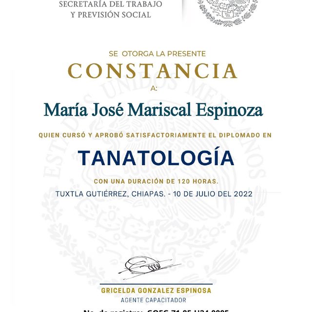 Ampliar imagen: certificate 3