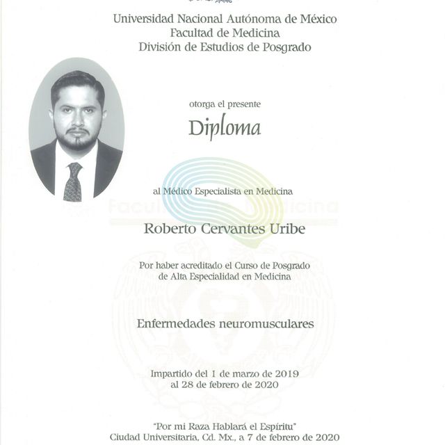 Ampliar imagen: certificate 6
