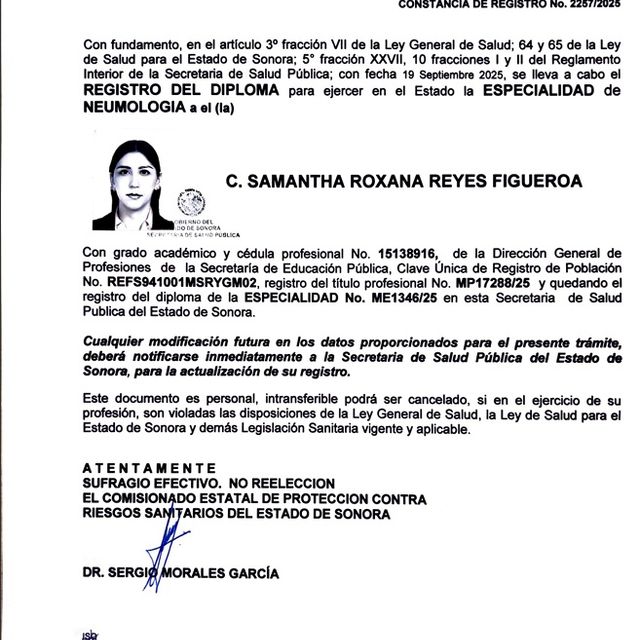 Ampliar imagen: certificate 5