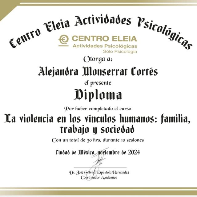 Ampliar imagen: certificate 5