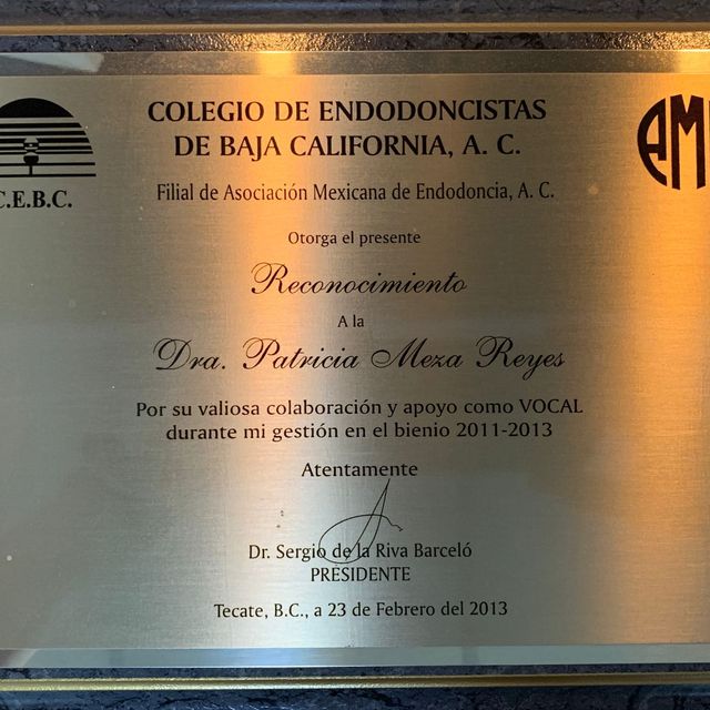 Ampliar imagen: certificate 6