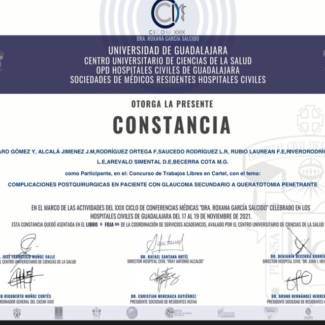 Ampliar imagen: certificate 13