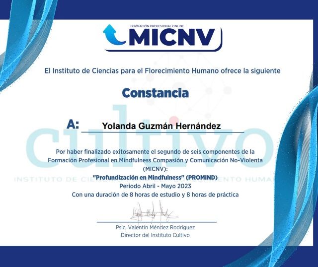 Ampliar imagen: certificate 1