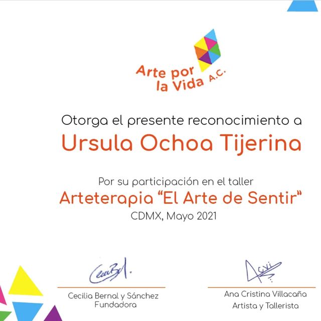 Ampliar imagen: certificate 10