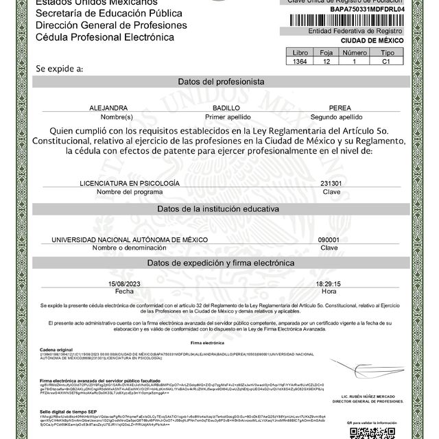 Ampliar imagen: certificate 1