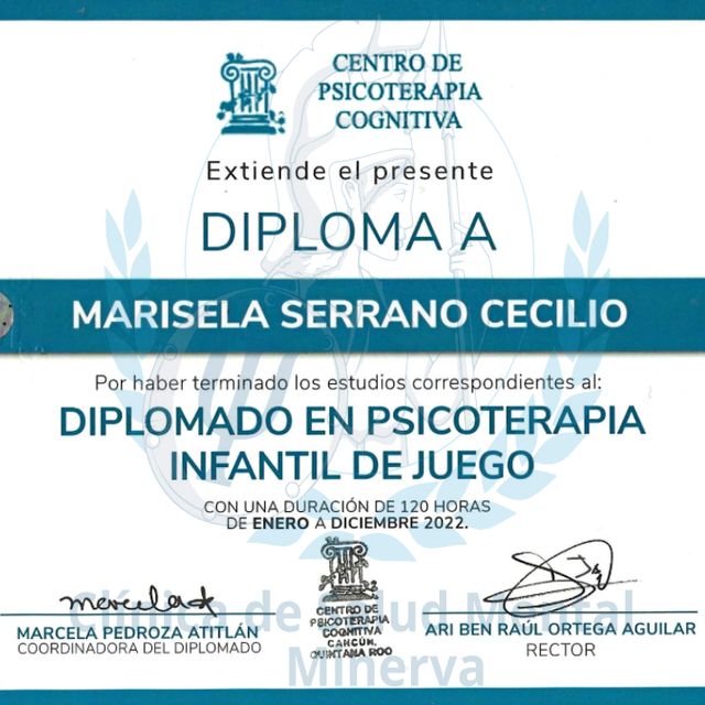 Ampliar imagen: certificate 2