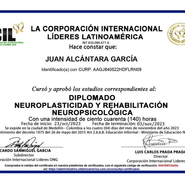 Ampliar imagen: certificate 13
