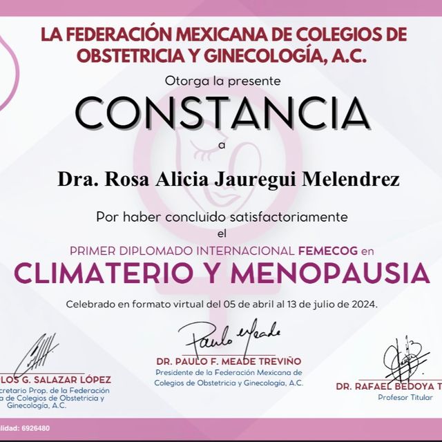 Ampliar imagen: certificate 13