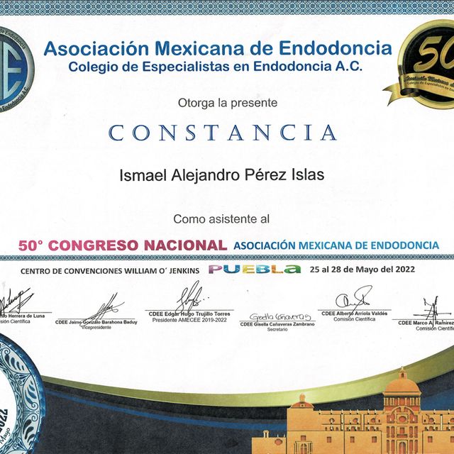 Ampliar imagen: certificate 9