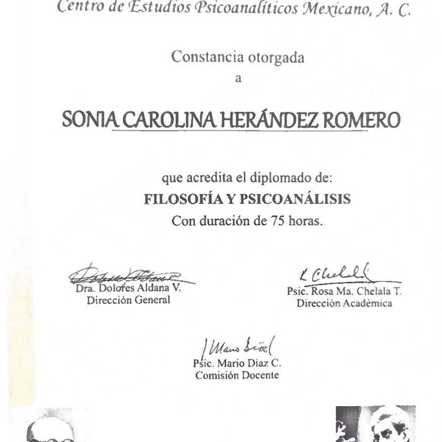 Ampliar imagen: certificate 9