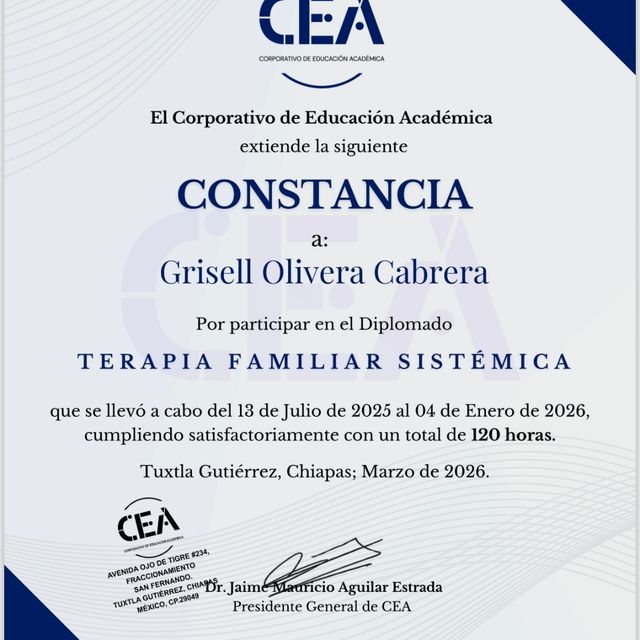 Ampliar imagen: certificate 2