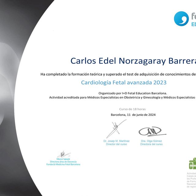 Ampliar imagen: certificate 3