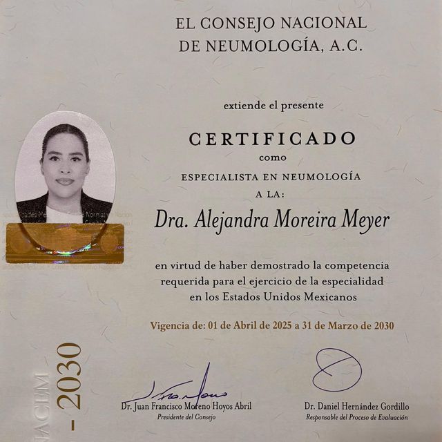 Ampliar imagen: certificate 5