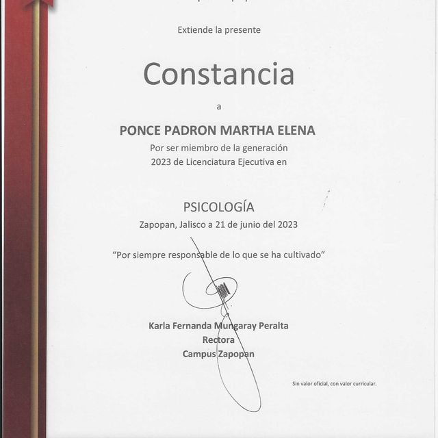 Ampliar imagen: certificate 3