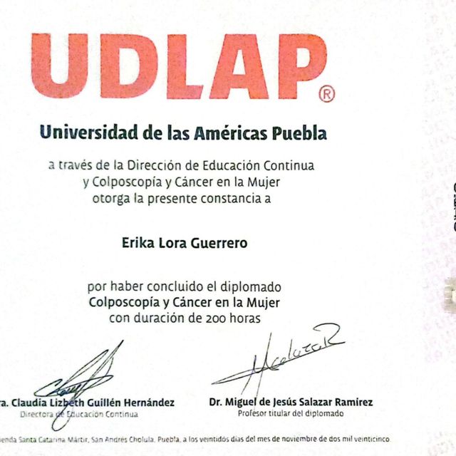 Ampliar imagen: certificate 1