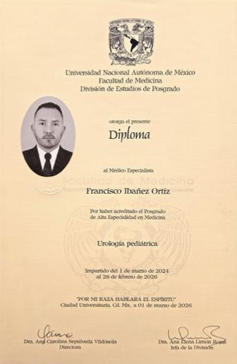 Ampliar imagen: certificate 2