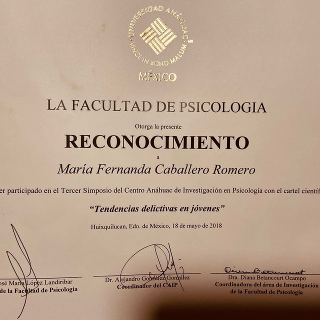 Ampliar imagen: certificate 4