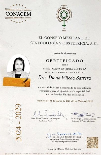 Ampliar imagen: certificate 2